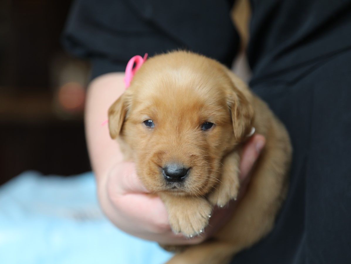 Laney (4).JPG