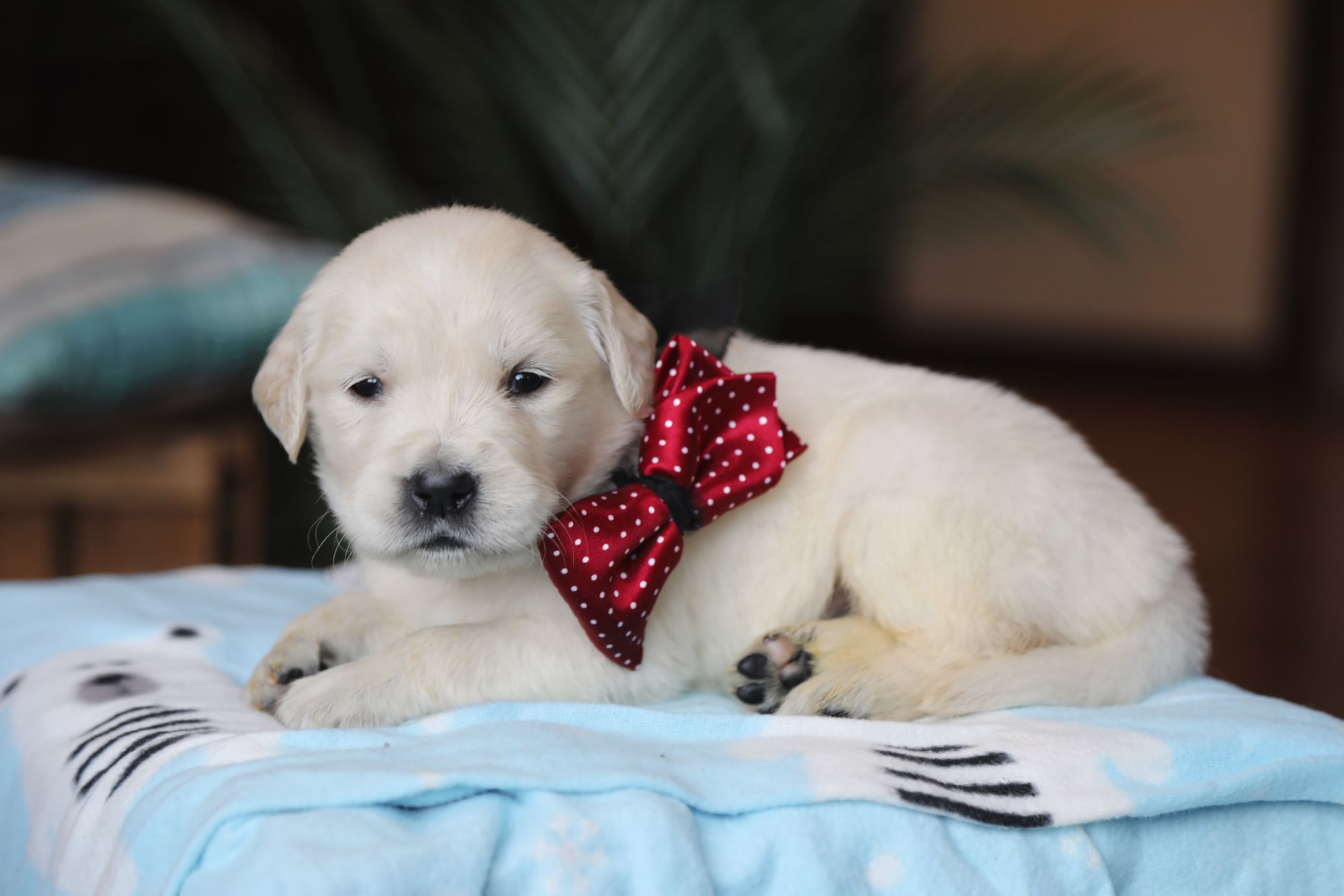 Bonder  • Click to meet