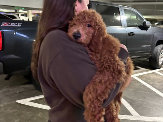 Los Angeles CA RUSSEL • HOMED