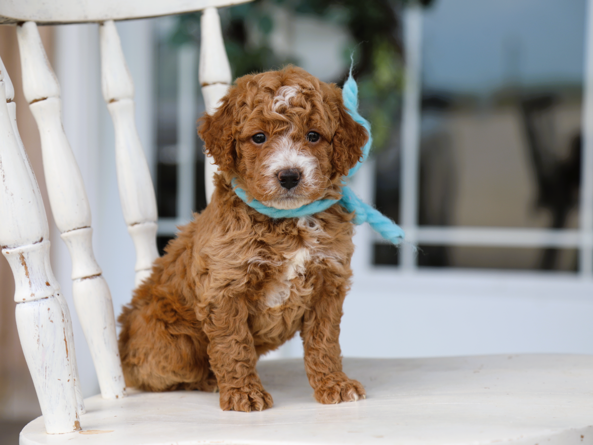 MASON • RESERVED