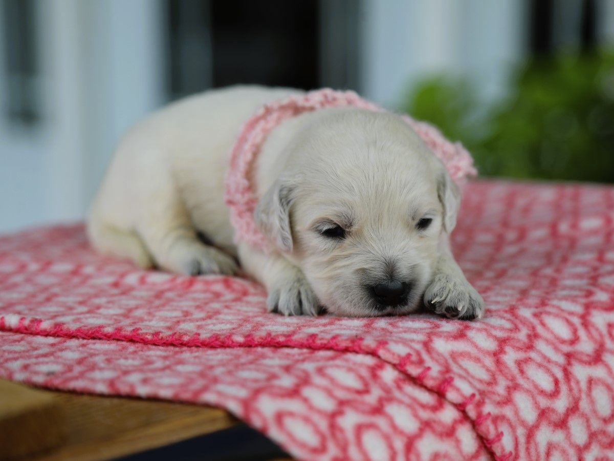 Olivia • Click to meet
