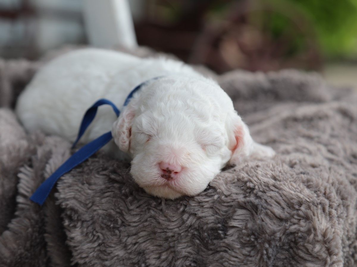 Casper (4).JPG