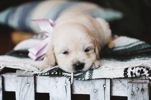 Beth • Click to meet