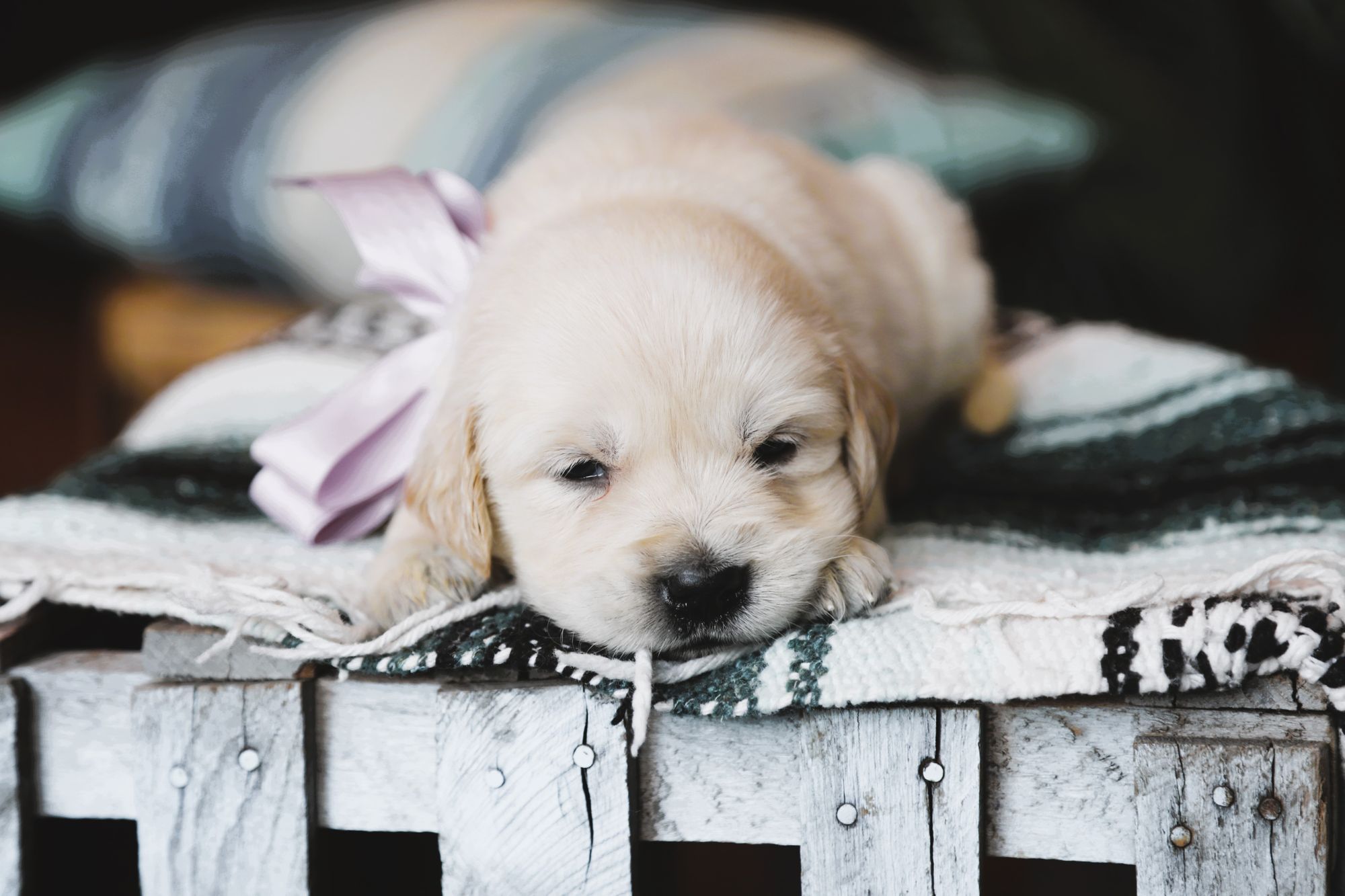 Beth • Click to meet