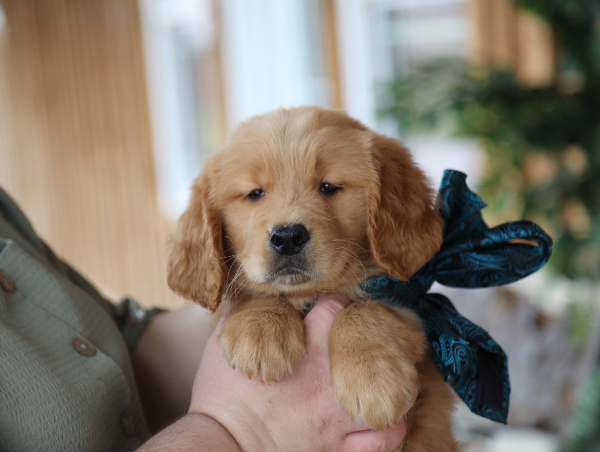 BILLY • RESERVED