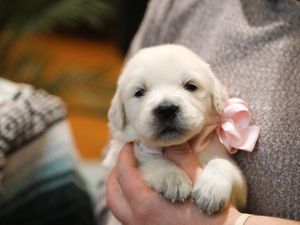  Vikki • Click to meet