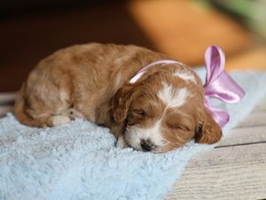 Erika • click to meet