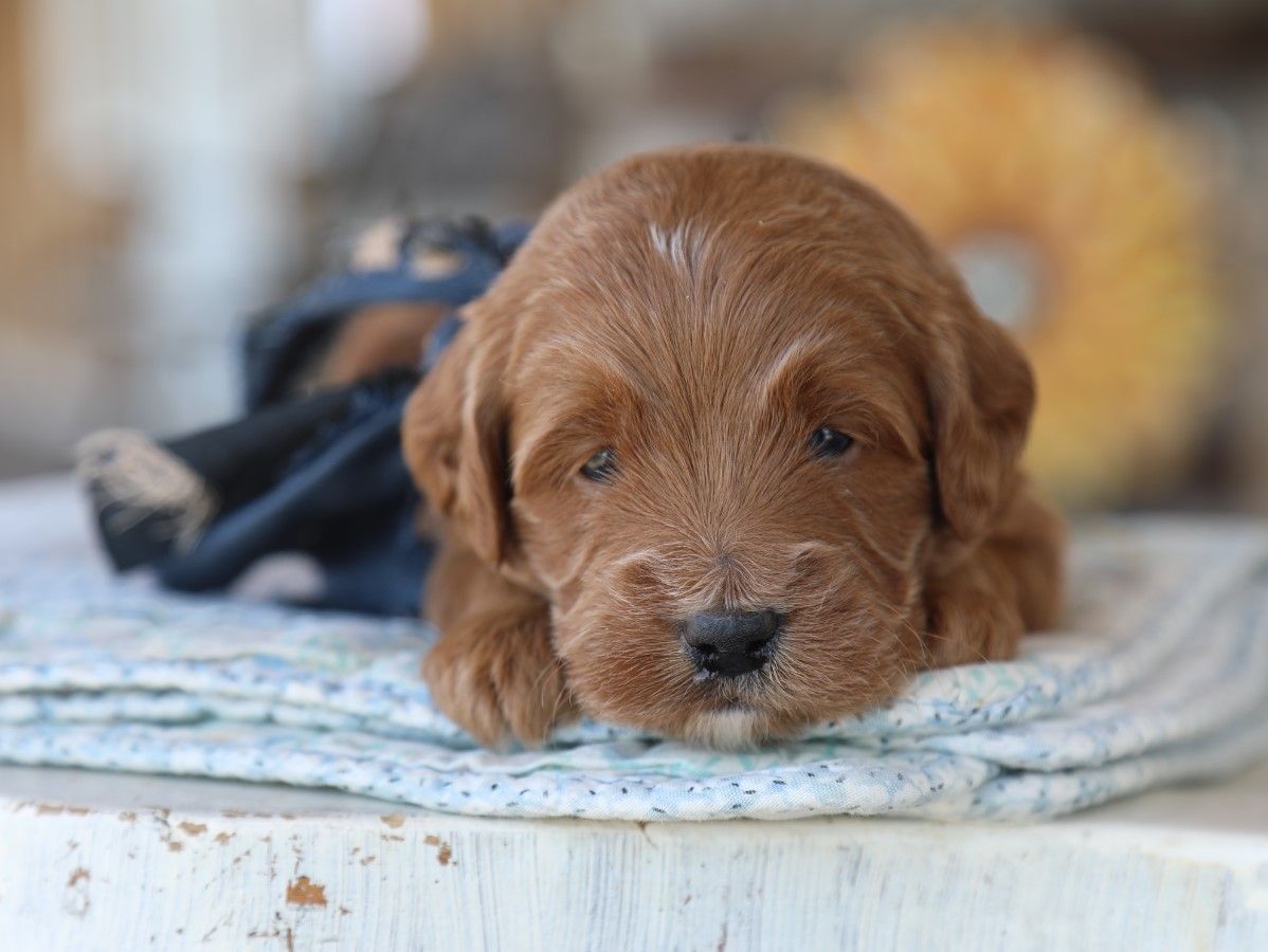 Hershey (3).JPG