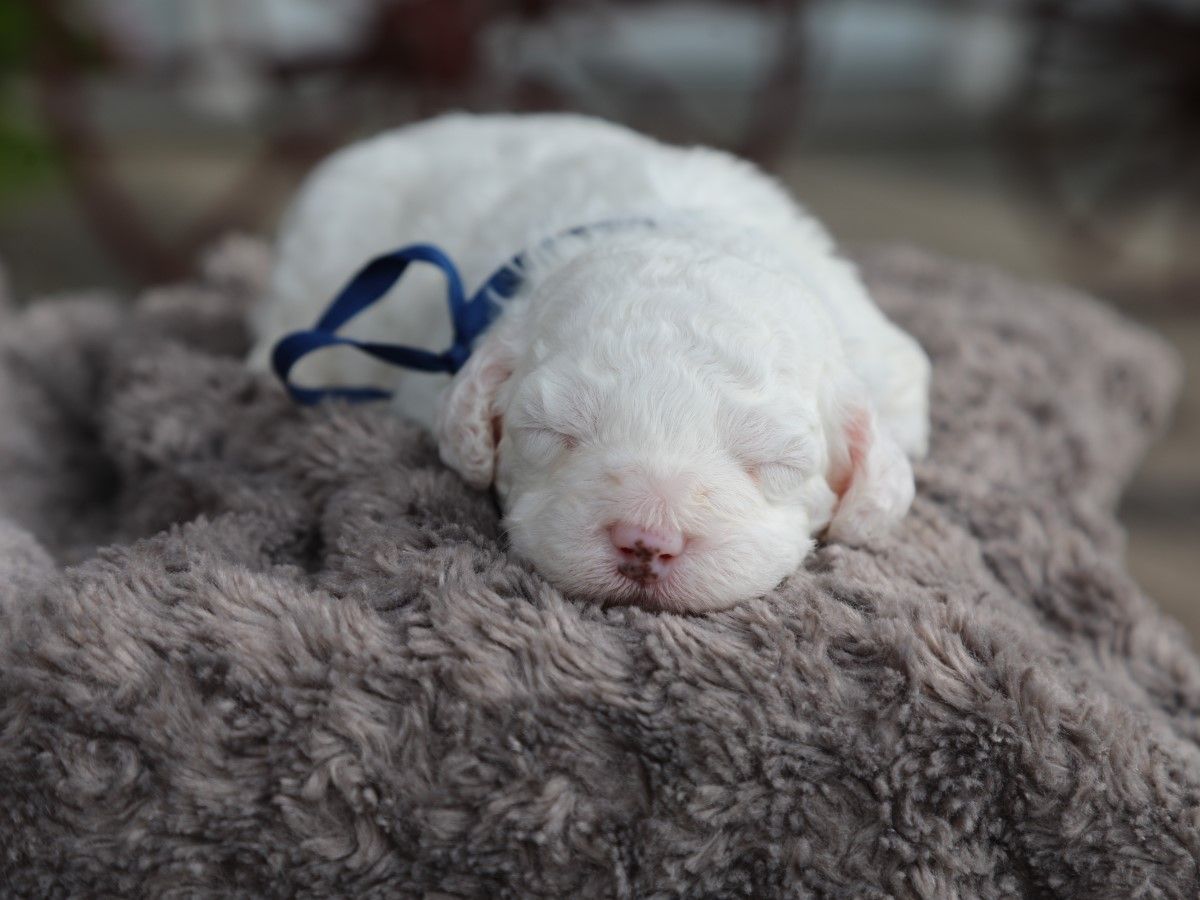 Casper (3).JPG