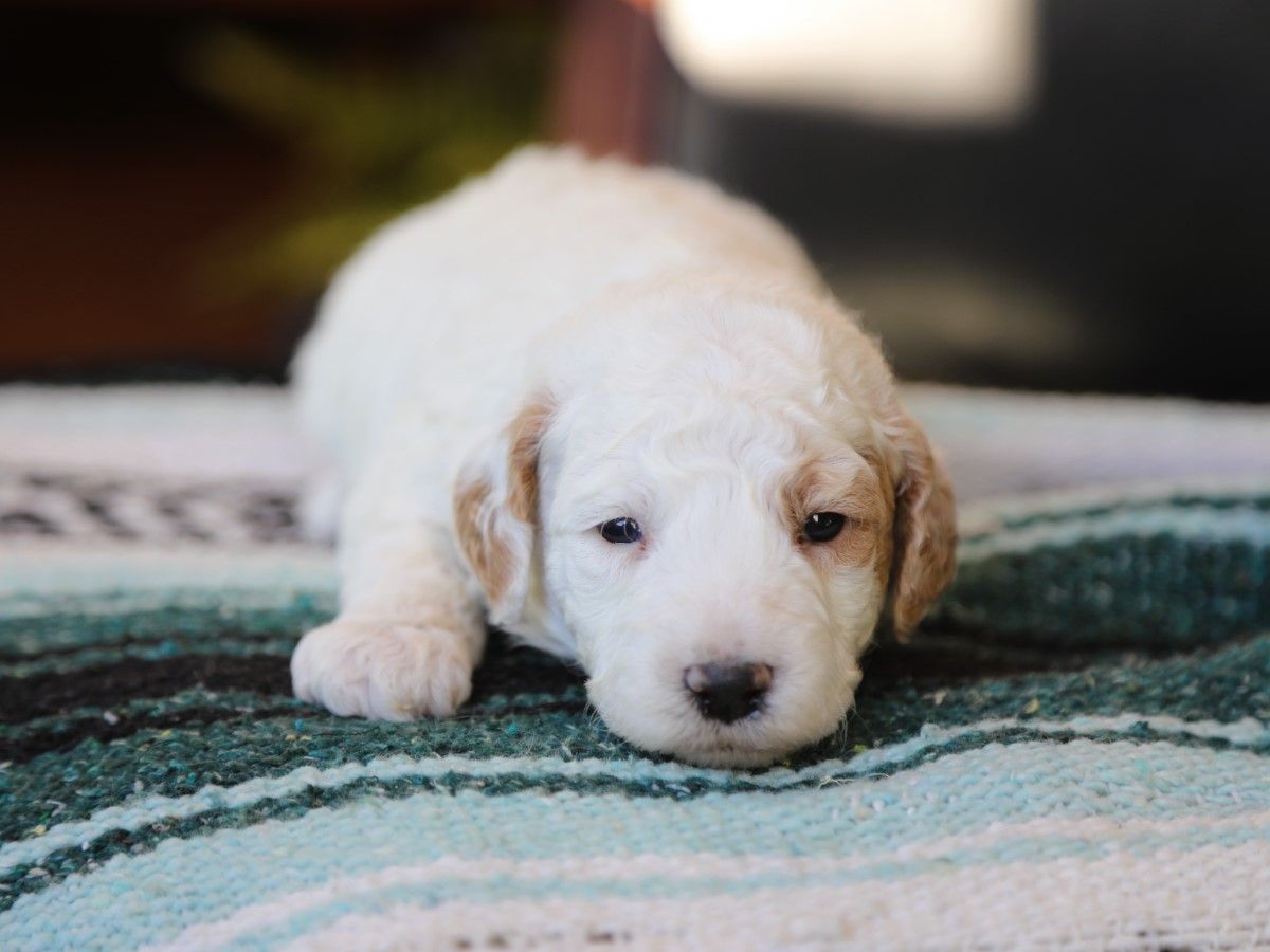 easton (4).JPG