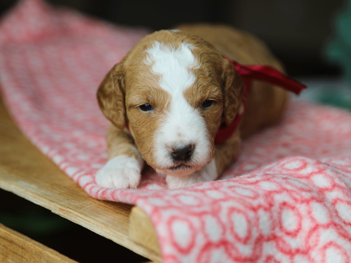 Carmela • click to meet