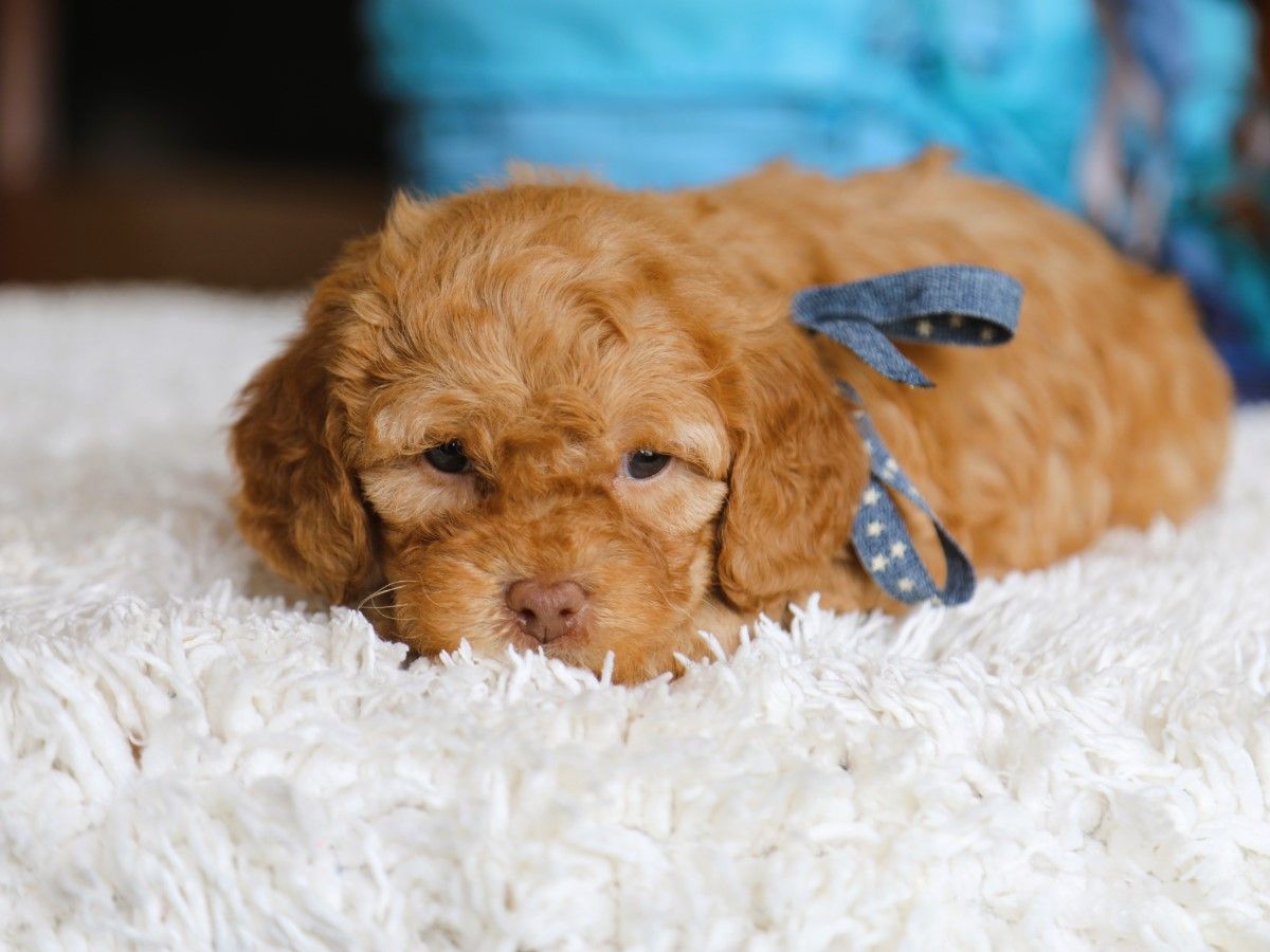 tucker (2).JPG