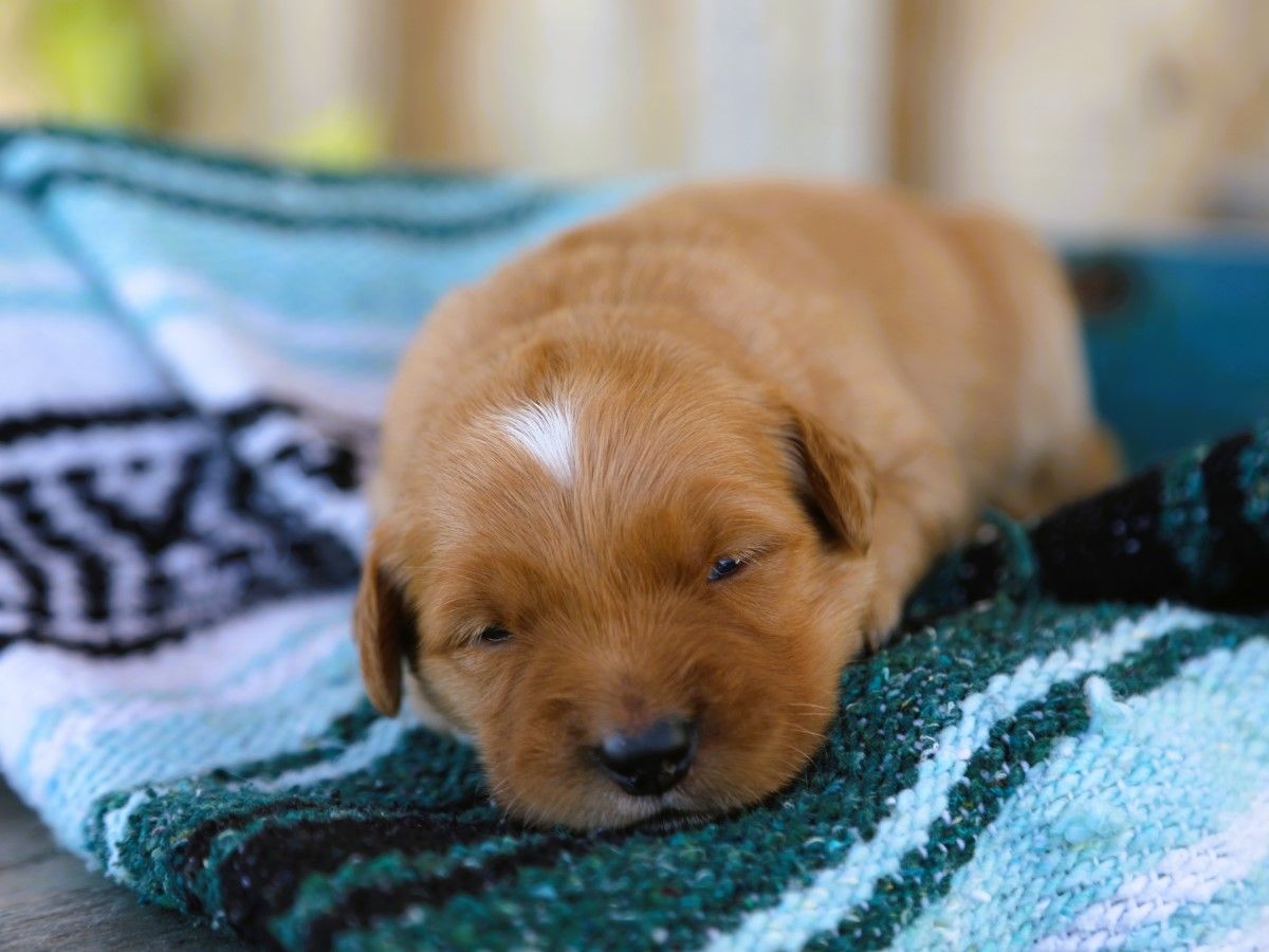 Brinley • Click to meet