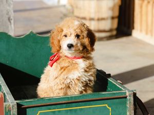   Malcolm • click to meet