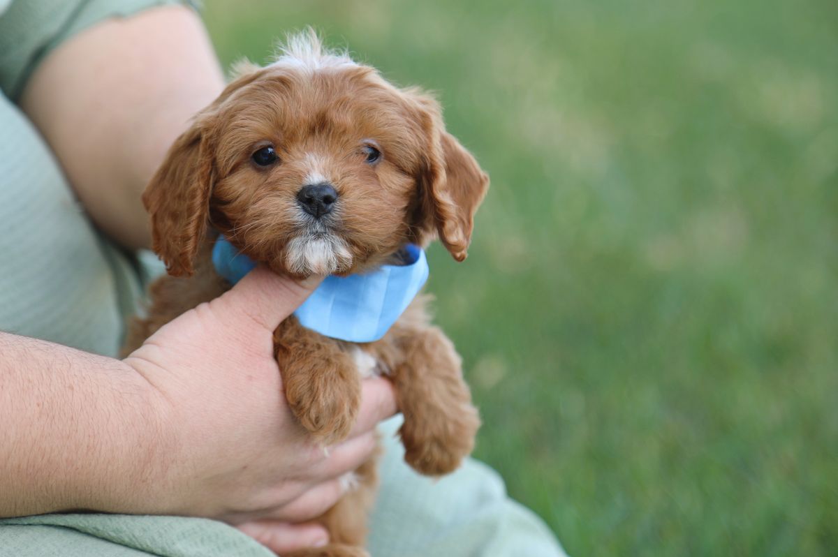 Spencer (2).JPG