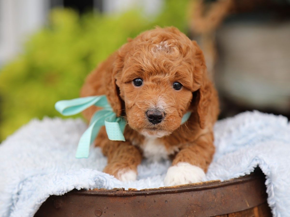 finnegan (4).JPG