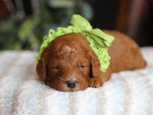 Bay • click to meet