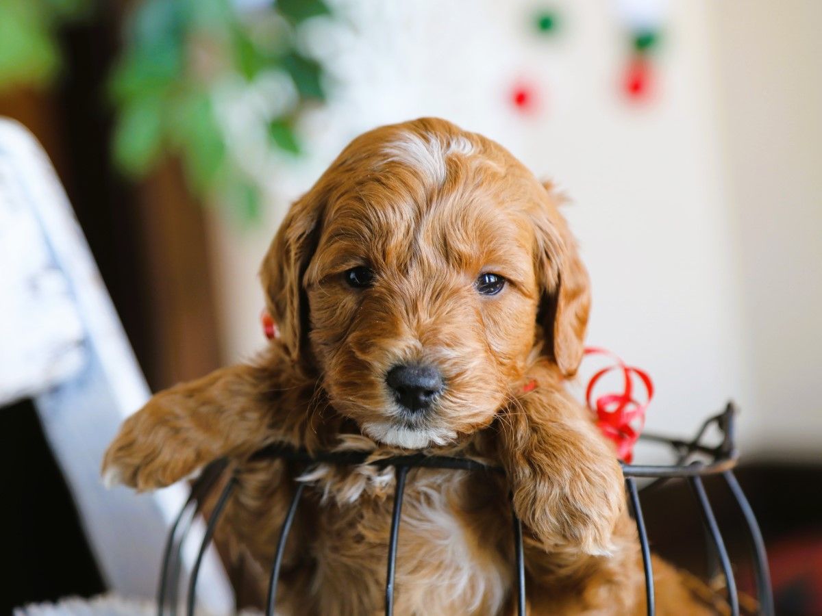 Happy (4).JPG