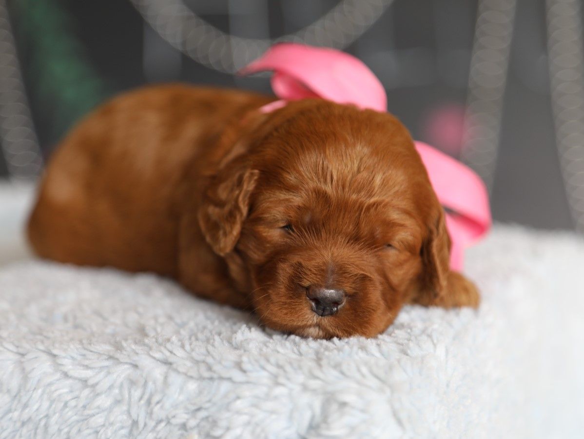 twinkle (1).JPG