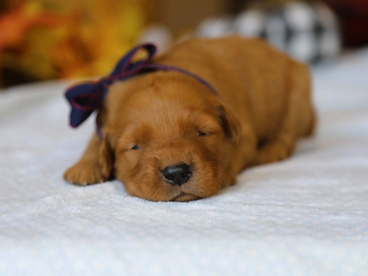 Wisdom • Click to meet