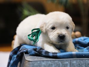  Chad • Click to meet