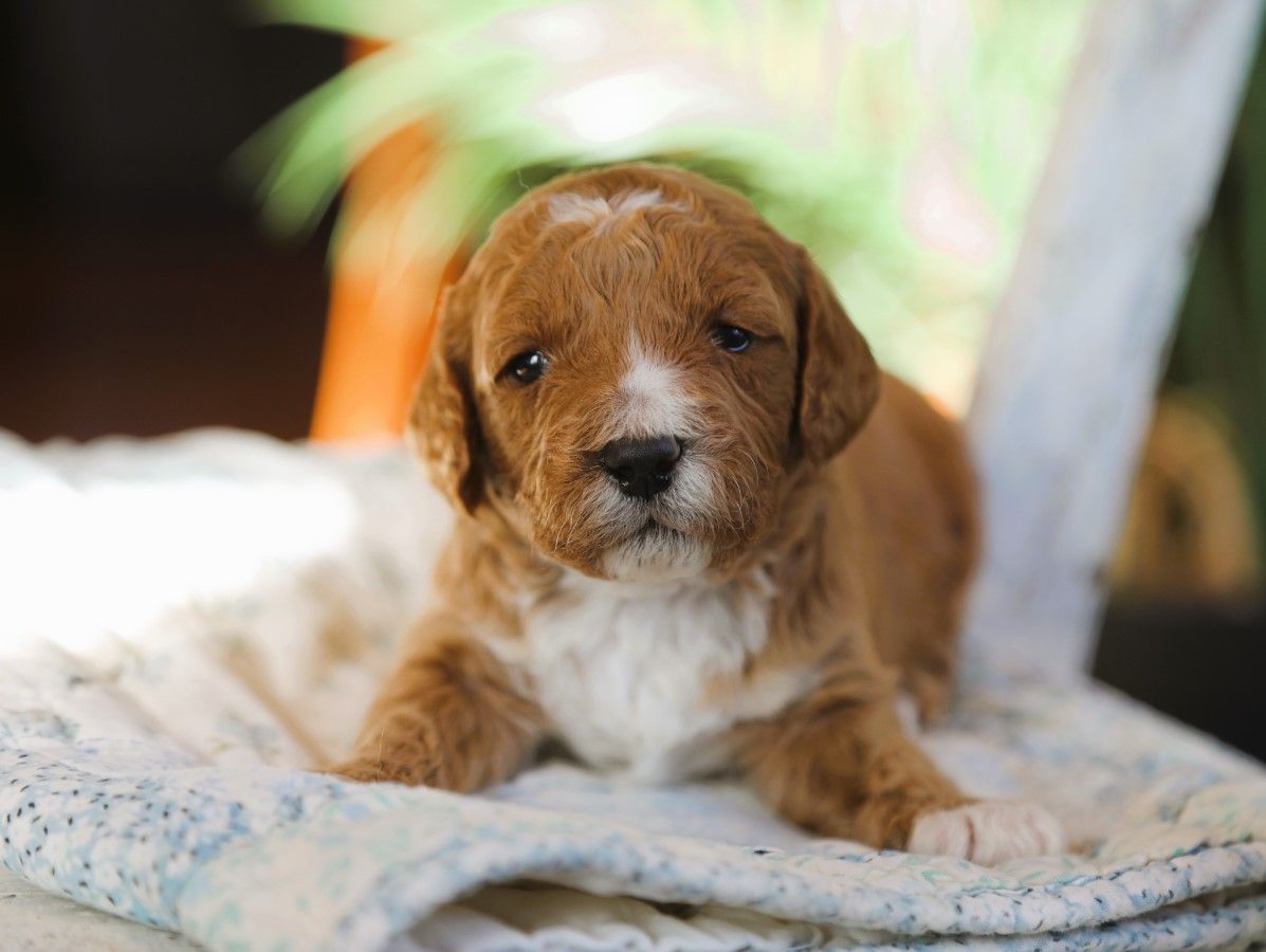 Nick • click to meet