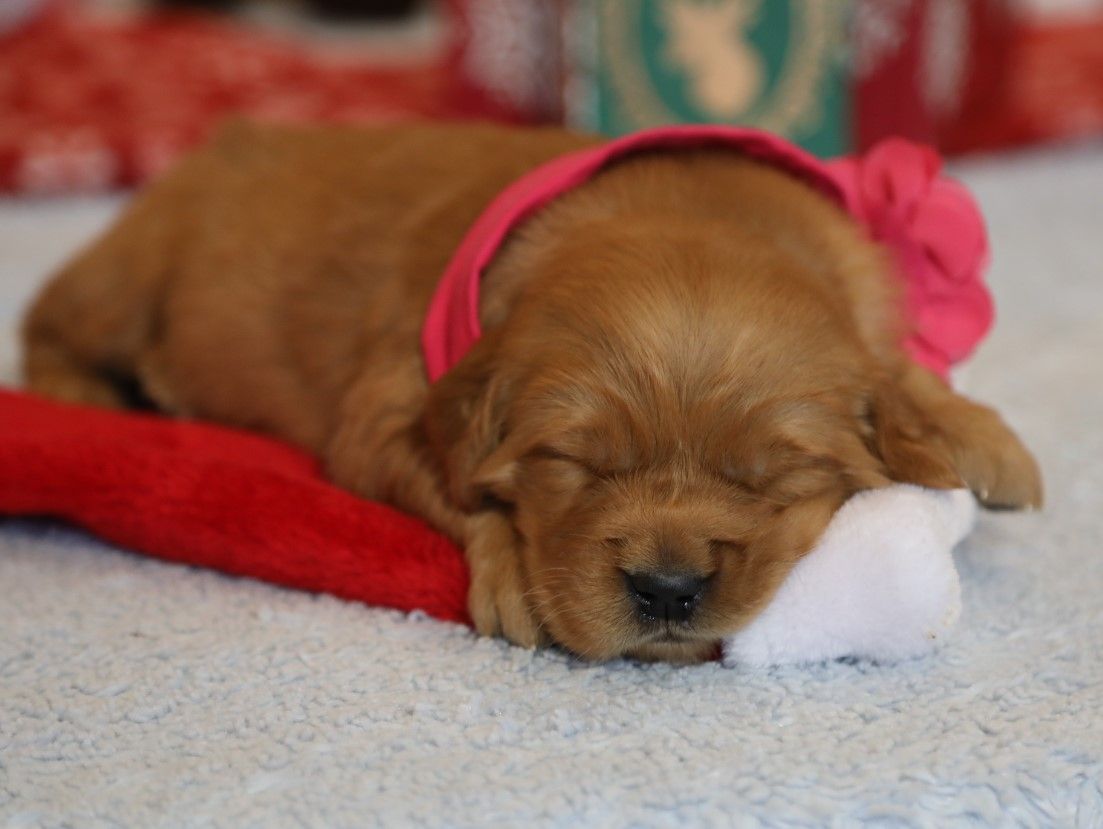 Lucia - Click to meet