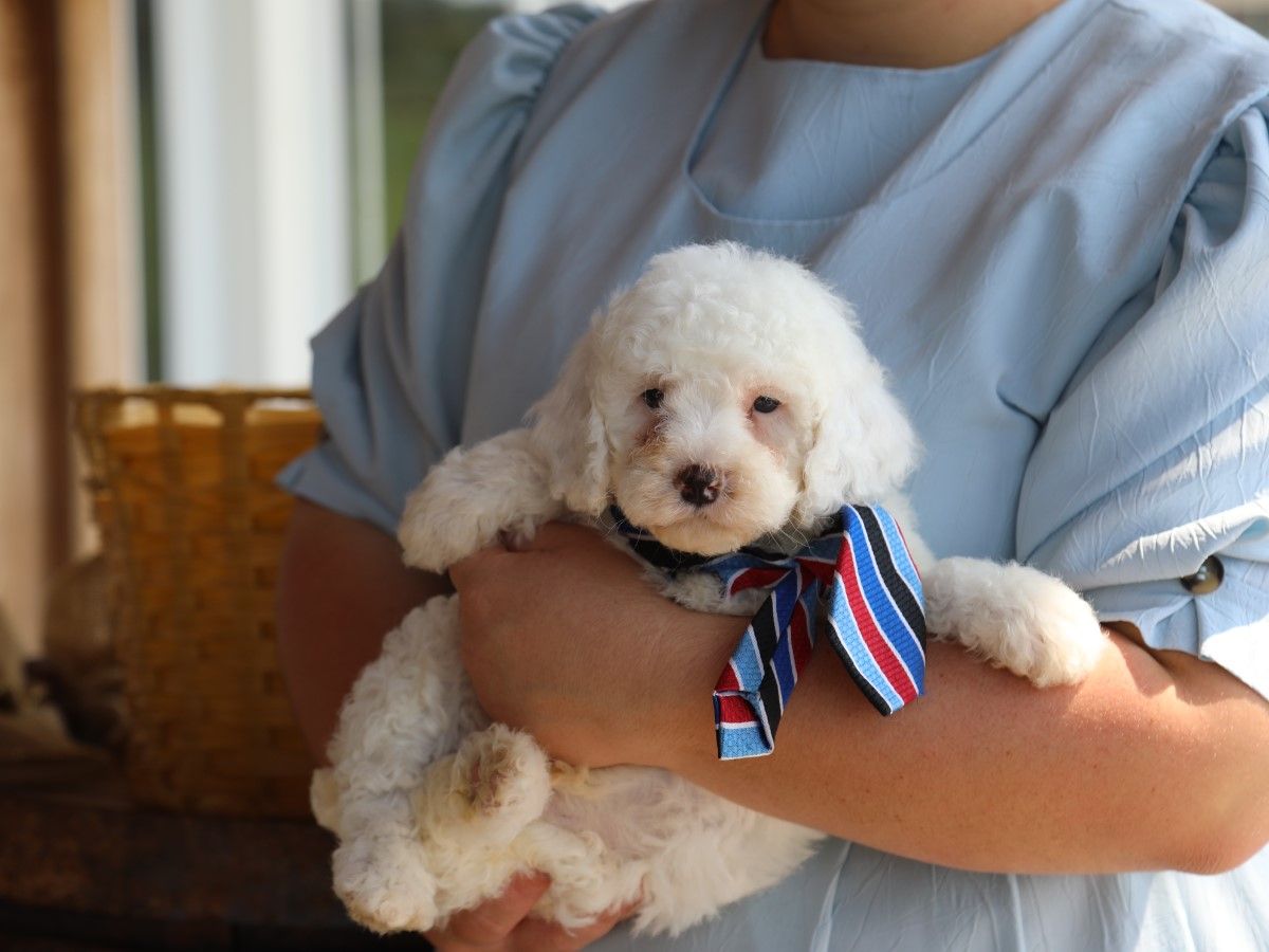 Casper (3).JPG