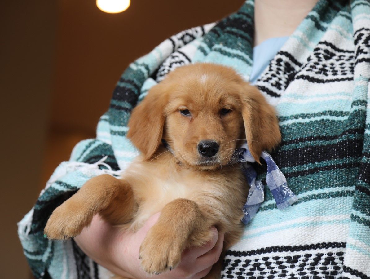  Bruno - Click to meet