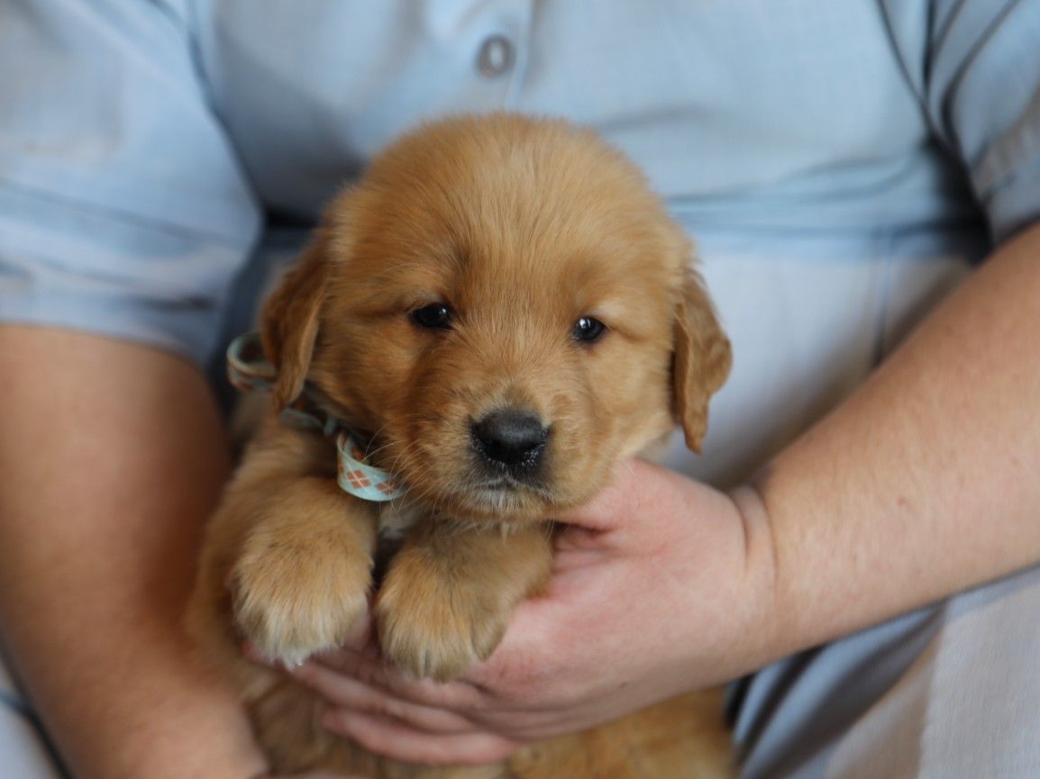 Reggie (4).JPG