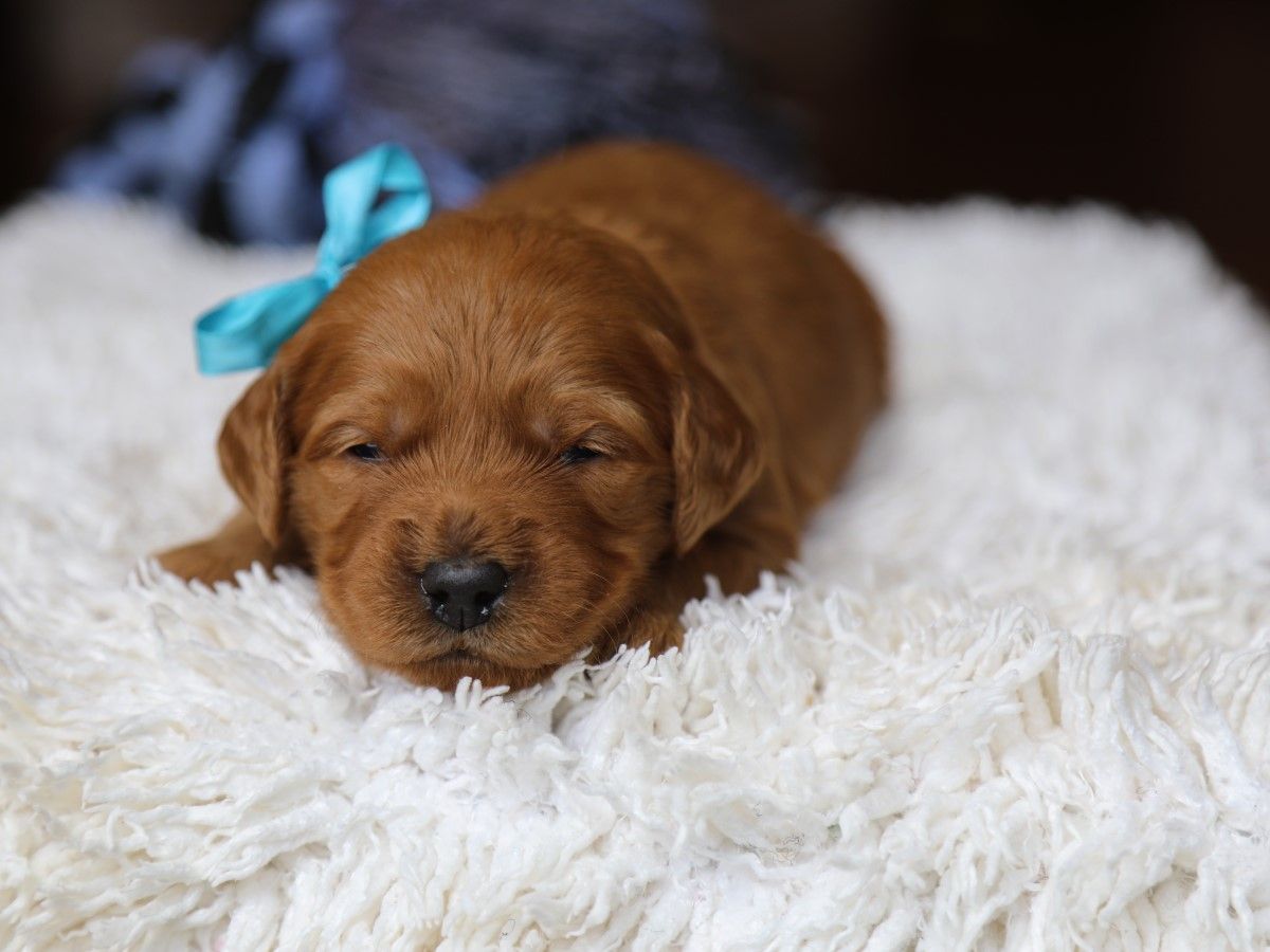 Tex • click to meet
