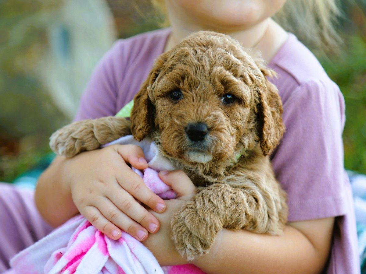 Posey (2).JPG