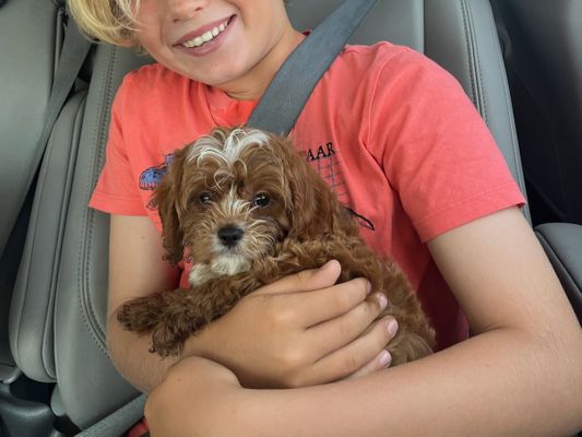 San Diego, CA WINSTON • HOMED