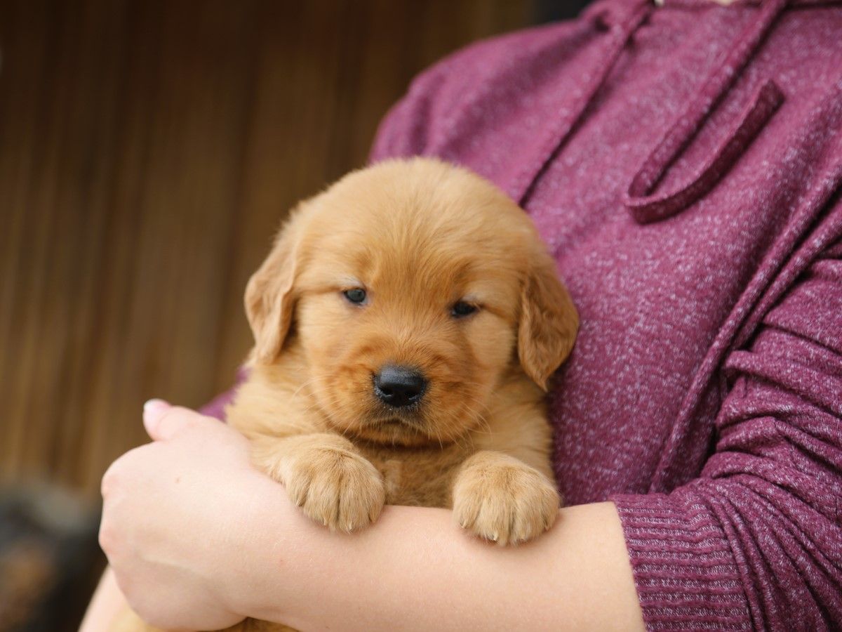Franklin • Click to meet