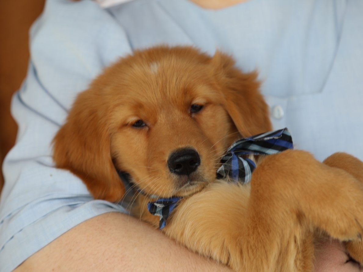 bruno (3).JPG