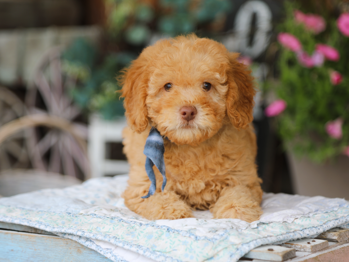  Tucker • click to meet