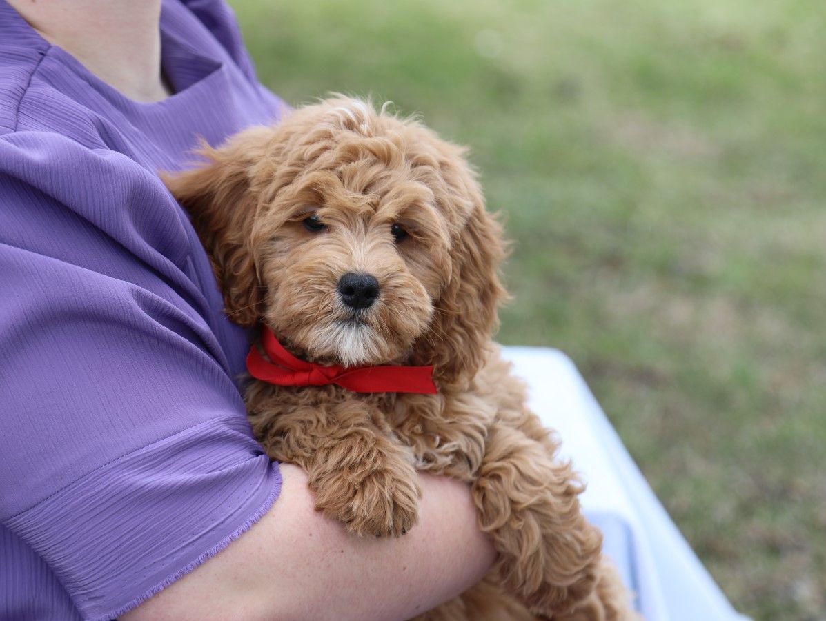Dudley (1).JPG