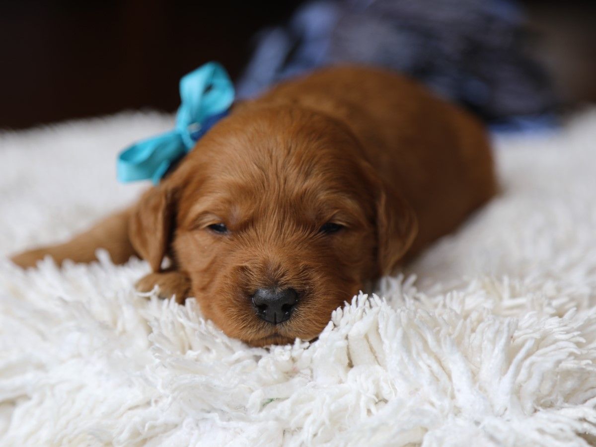 Tex (4).JPG