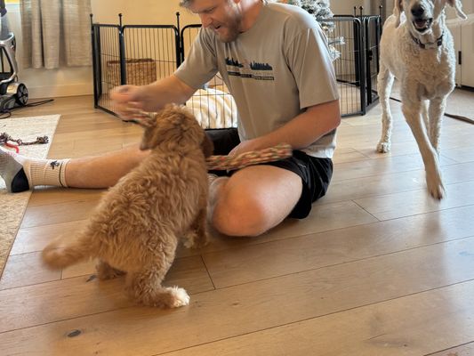 Austin, TX XANDER • HOMED