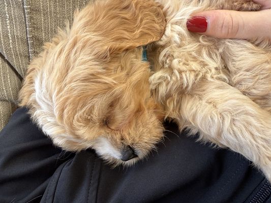 Corona CA MILLER • HOMED