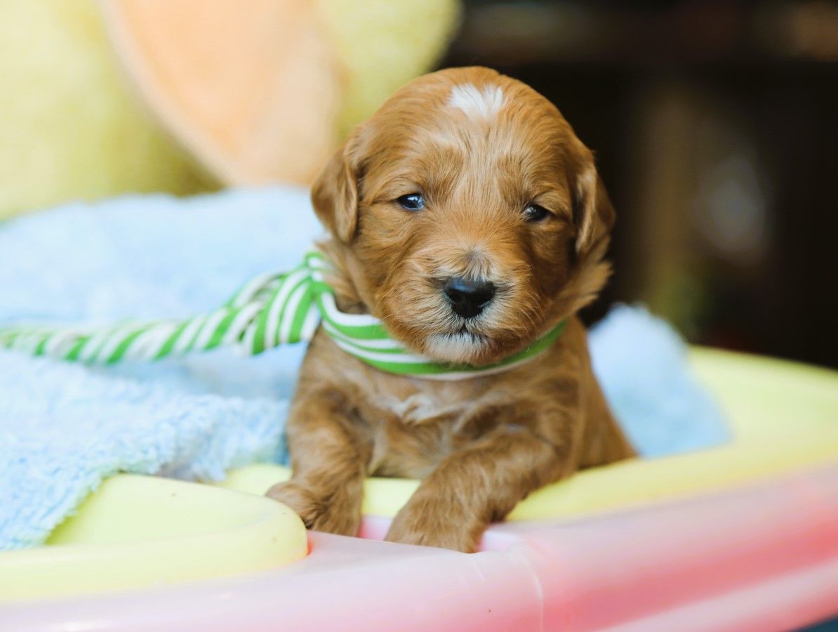 Noah • click to meet