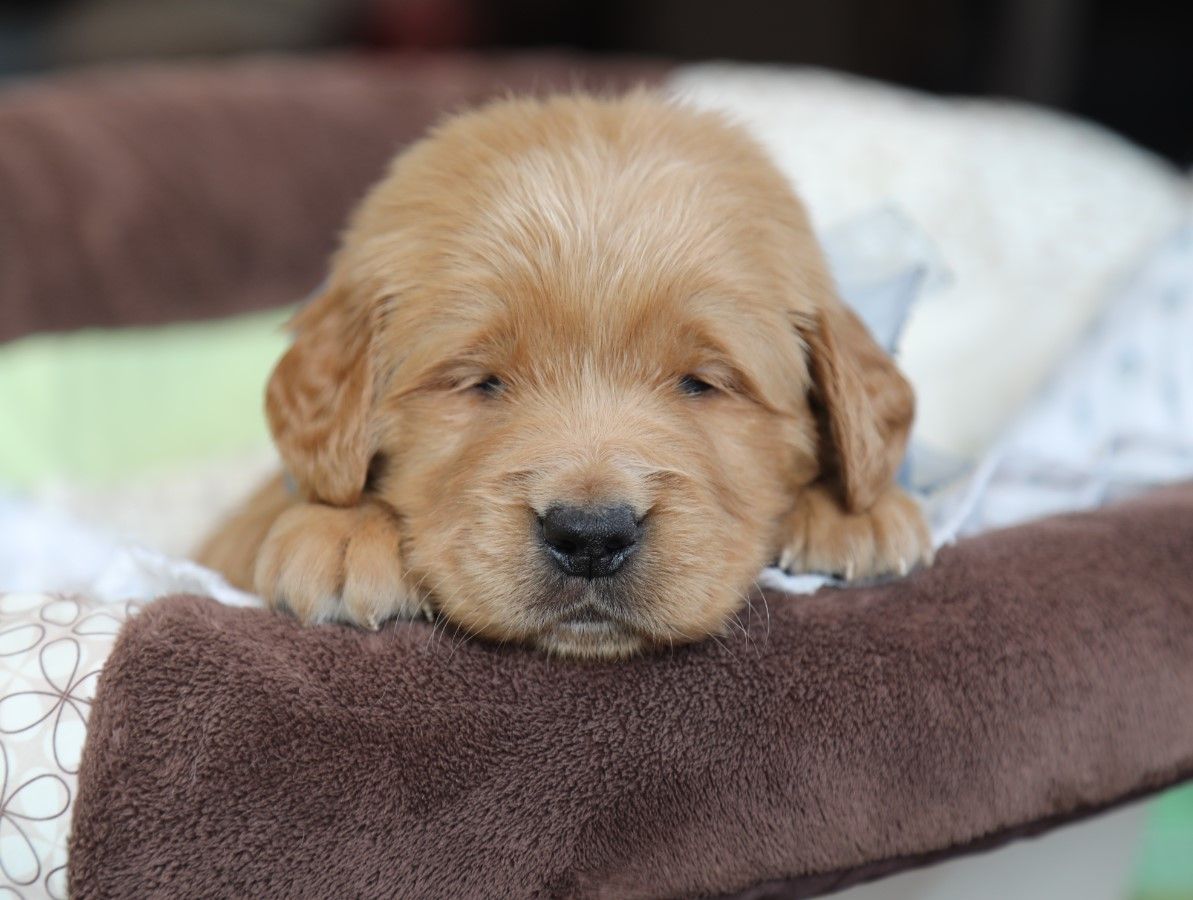 BILLY (4).JPG