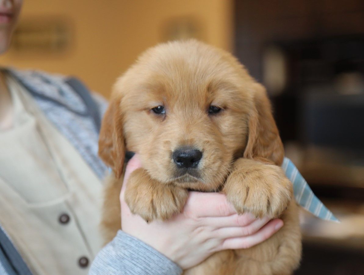 rocket (4).JPG