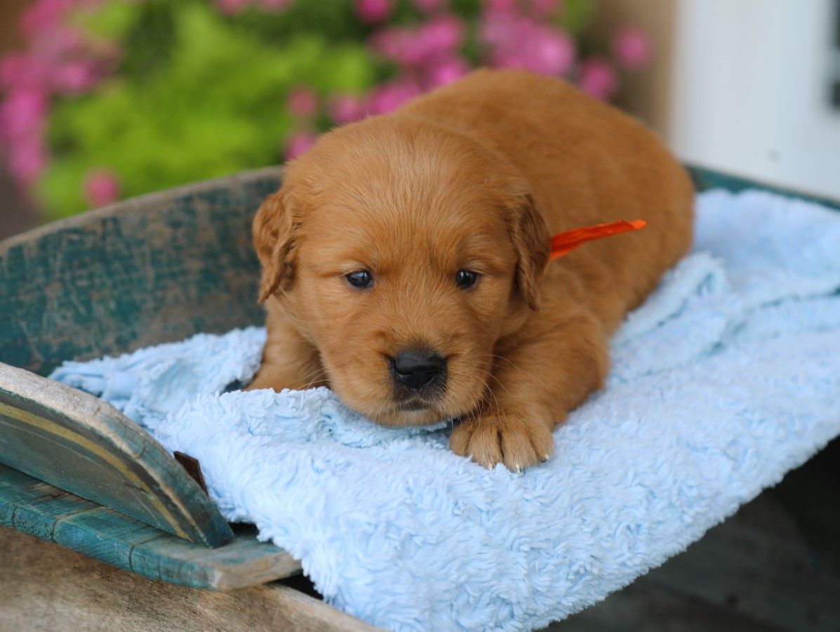 milo (4).JPG