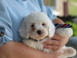  Casper • click to meet