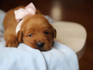 Bree • Click to meet