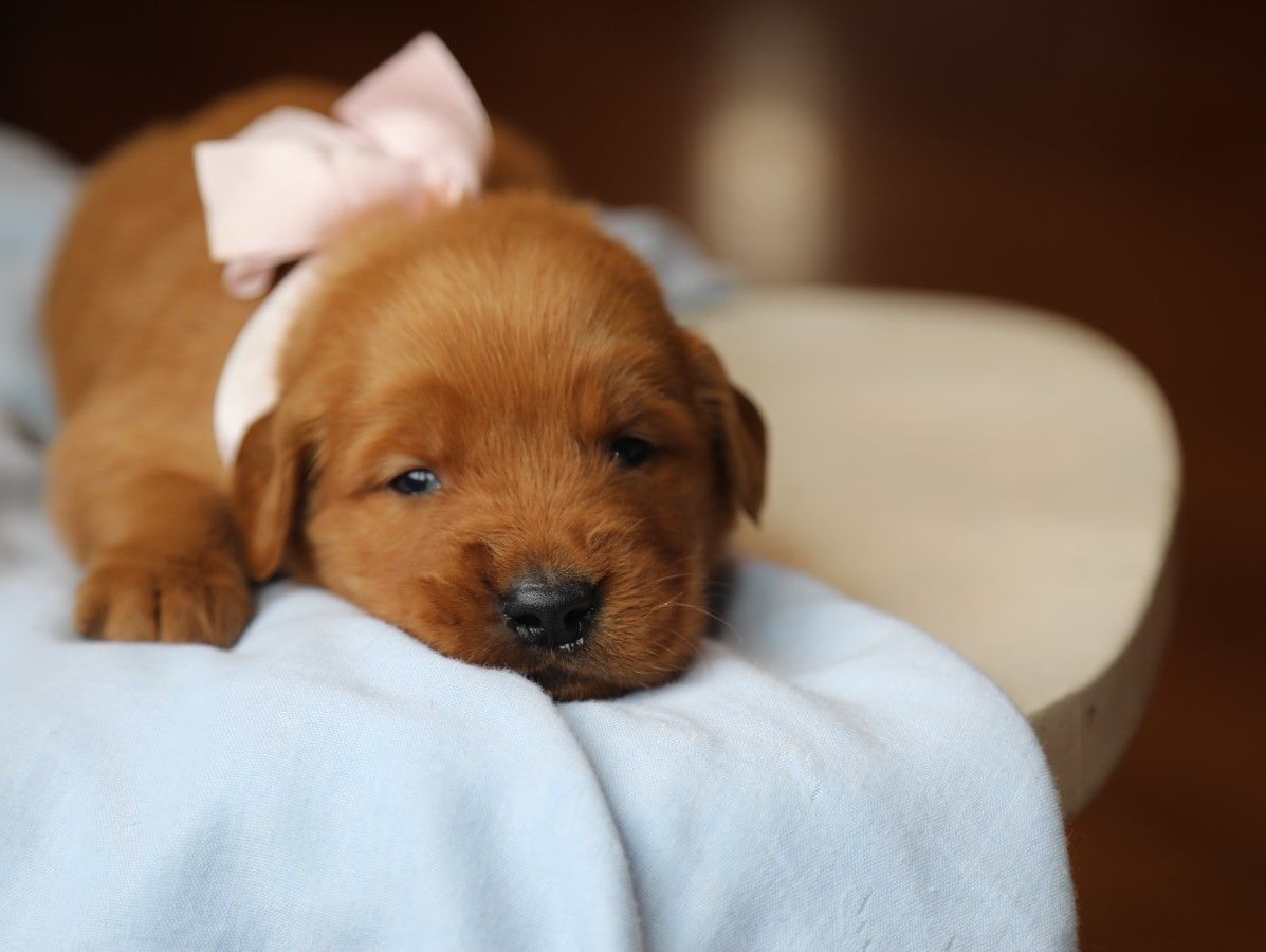 Bree • Click to meet