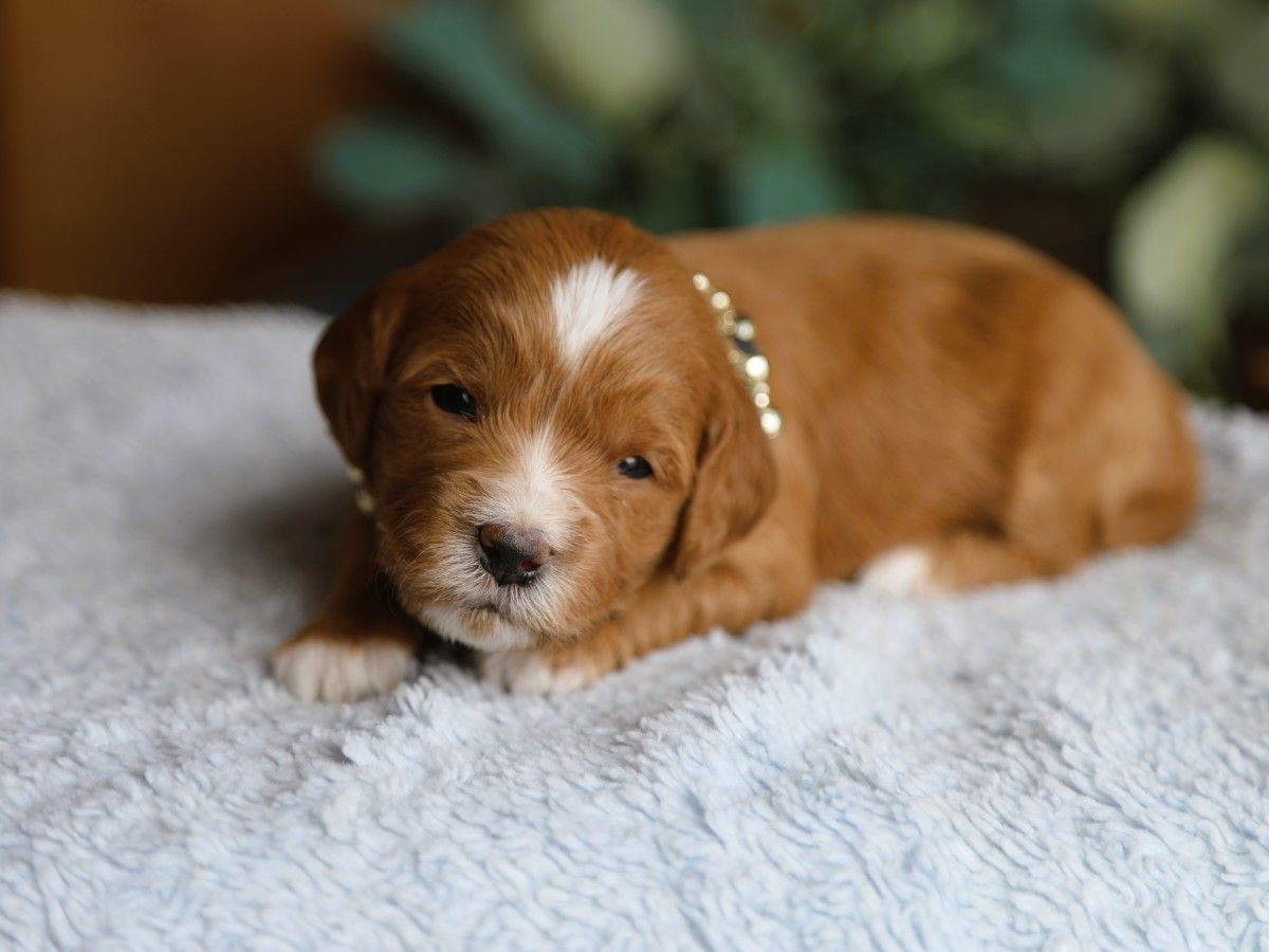 sandy (3).JPG