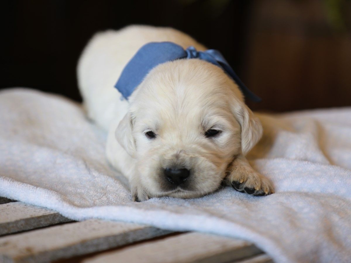 Denali (3).JPG