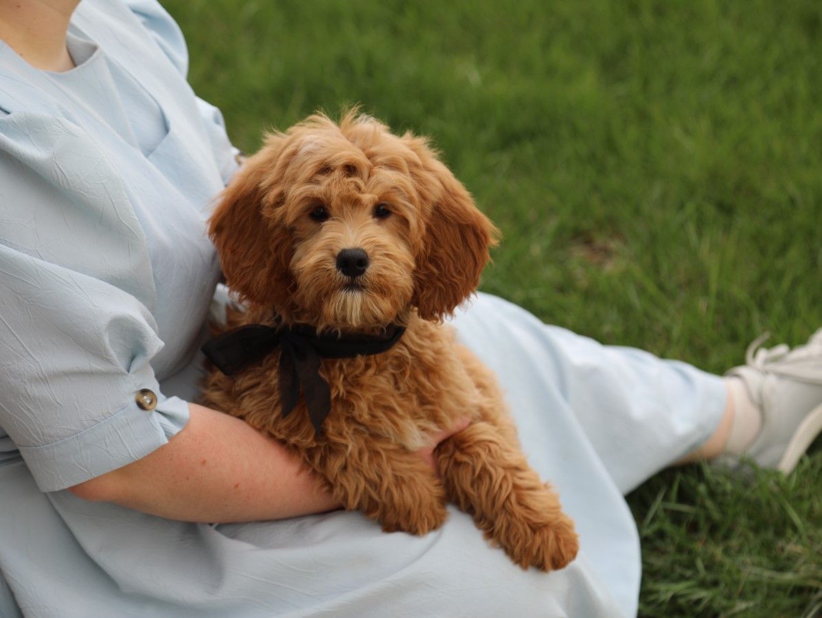DUDLEY • RESERVED 